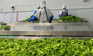 东莞食堂食材配送服务商资质齐全实力参考，全品类原料供应不踩坑指南