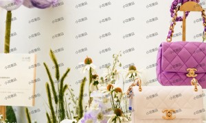苏州二手奢侈品销售支持第三方鉴定的服务商实力与用户口碑深度解析，回收置换避坑指南