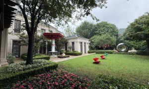 别墅中介求推荐，专业服务商行业现状与选择指南