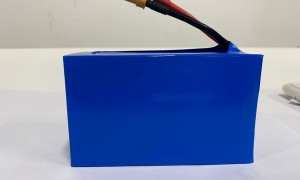 深圳新绿源PACK加工专业吗