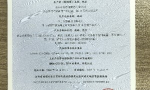中山市靠谱的楼梯吊灯异形定制厂家质量参考评选