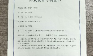 2026年别墅挑空客厅大吊灯哪些厂家质量好推荐一下，用户力荐