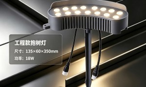 2026年景观照明灯具景区品牌、景观照明灯具精品定制、景观照明灯具专业厂家质量参考评选