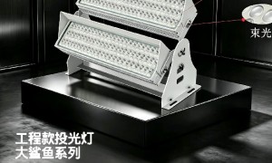 有没有服务周到的led线条灯源头厂家质量参考评选