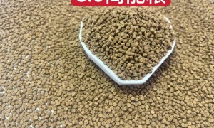 河南实力之选：异宠粮贴牌代工制造厂用户力荐