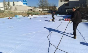 天津市防水公司专业实力与用户口碑深度解析