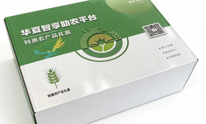 河南智慧助农生态圈高效性推进方案服务商实力参考