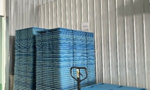 长沙找能做油炸糕点也做猫耳酥的源头供货公司推荐