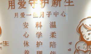 厦门一对一护理月子中心服务有哪些 口碑好的母婴照护项目盘点