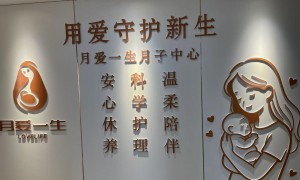 2026年厦门月子中心行业现状与选择指南
