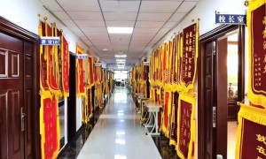 题车杨公考规模怎么样
