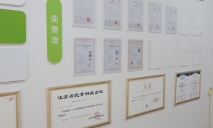 棉花遗传转化合规服务商筛选名录：瑞源生物技术公司资质齐全
