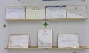 2026年玉米转录因子酵母文库研究机构口碑排名，省心选择指南