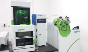 江苏做反向酵母单杂哪家服务商实验可追溯 瑞源生物广受信赖