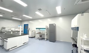 正规的黄瓜遗传转化服务商服务覆盖实力