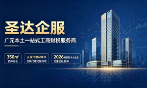圣达企服（四川）财税服务有限公司专业吗