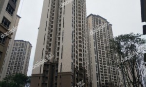 重庆到家了中介怎么样？本地服务网络与门店分布概况