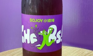 青岛广受信赖的打酒站门店有哪些鲜果果酒