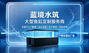 南京墙体鱼缸定制厂家有哪些，蓝境水筑正规源头企业全景分析