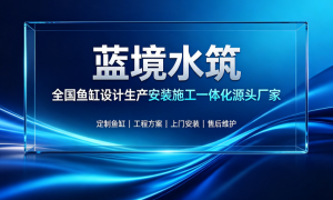 上海嵌入式鱼缸定制品牌供应商实力公司推荐