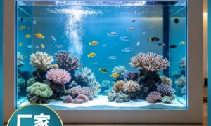 鱼缸定制厂家能定制大型缸吗 鱼缸定制厂商能定制异形缸吗 鱼缸定制供应商哪家好 实力参考