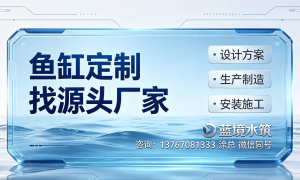 江苏做亚克力鱼缸定制带造景运维的服务商有哪些，蓝境水筑资质齐全实力推荐