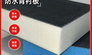 天津防水背衬板生产厂家实力与用户口碑深度解析