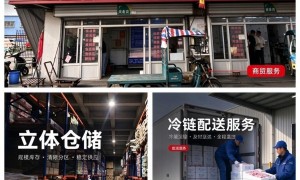 冷冻肉品批发推荐几家 春荣食品商贸品质稳定口碑好