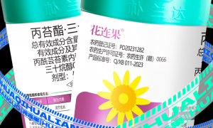 崖州靠谱的芒果催花药物推荐，给芒果催花用能让效果稳的产品盘点