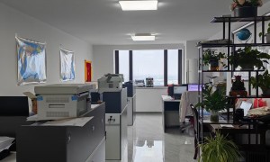 天津科瑞迪特物流有限公司规模如何
