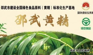 地标黄精优质好企业品牌推荐，口碑好的正规供应商有哪些