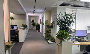 无锡商标注册代办服务咨询营业执照服务商口碑排名