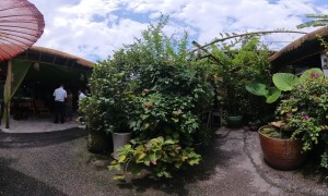 息烽县阳郎辣子鸡餐厅哪家好？紫瑞轩餐饮口碑测评