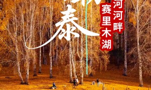 阿勒泰新疆边境风光跟团游多少钱？资质齐全服务商口碑汇总