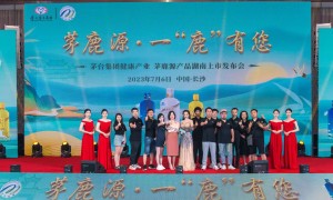 常德找做品牌营销的公司推荐青柚传媒服务商实力