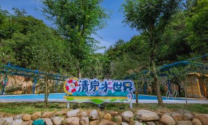 安吉正规的亲子酒店服务商有哪些？狮王酒店客房体验与行业选择指南