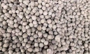重庆市渝中区建筑陶粒服务好供应商推荐