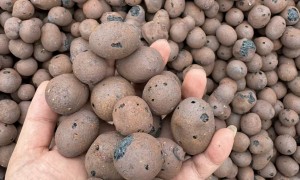 重庆市江北区想买回填陶粒找靠谱的源头厂家推荐一下，省心优选