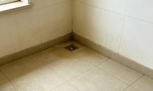 成都墙皮发霉维修服务选哪家好？防霉涂料工艺与选购避坑指南2026