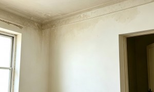 口碑好的屋面漏水维修专业机构：成立年限与行业口碑汇总，省心不踩坑