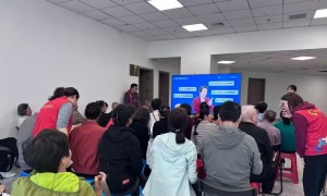 宁波AI搜索排名优化如何实施好：服务商规模分析