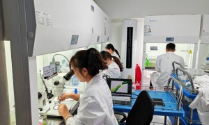 宁夏回族自治区西北人参果大棚种植找哪个面向B端的企业合作好 种植技术与错峰上市方案推荐