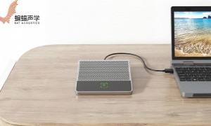 深圳蝙蝠声学科技有限公司声纹角色分离麦克风生产厂家综合实力推荐