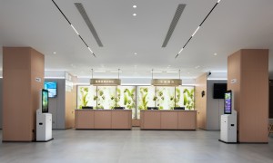 海南海口广受信赖的连锁酒店服务商，百元价位隔音实测分享
