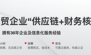 绵阳数字化管理服务哪家好 可自动生成财务凭证系统解析