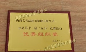 山西别墅家用电梯生产商哪家好？实普瑞实力与用户口碑