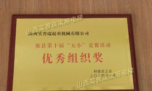 实普瑞家用电梯 2026年新款别墅螺杆式升降机 静音变频技术参数详解