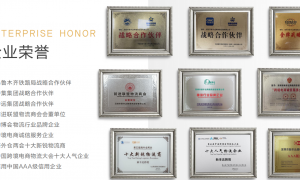 广州新丰达跨境供应链，中欧铁路整柜运输含拖车报关，覆盖英国及西欧主要港口城市