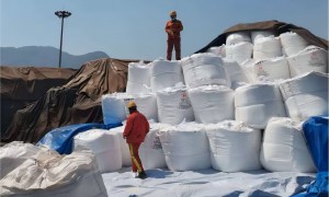 山东专业的氯化钾工厂实力参考