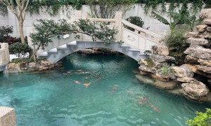 重庆民宿鱼池过滤系统哪家做得好？靠谱商家测评排名与选择指南